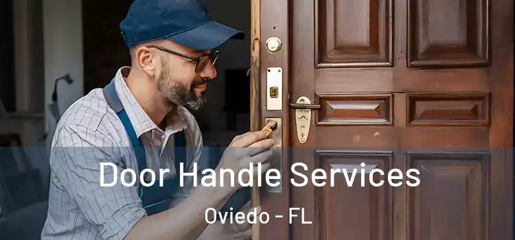 Door Handle Services Oviedo - FL